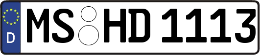 MS-HD1113