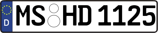 MS-HD1125