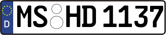 MS-HD1137