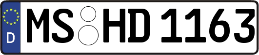MS-HD1163