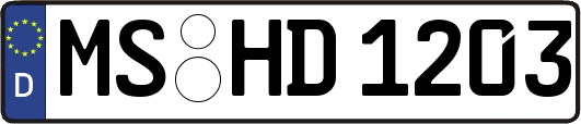 MS-HD1203