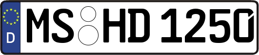 MS-HD1250