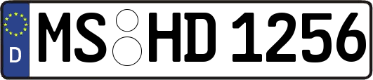 MS-HD1256