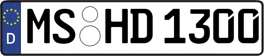 MS-HD1300