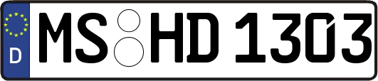 MS-HD1303