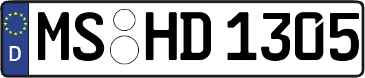MS-HD1305
