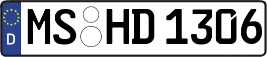 MS-HD1306