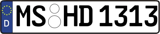 MS-HD1313