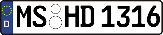 MS-HD1316
