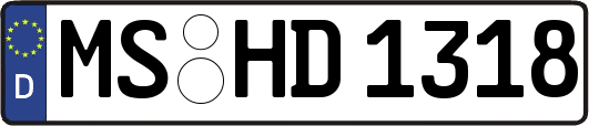 MS-HD1318