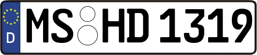 MS-HD1319