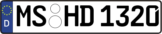 MS-HD1320