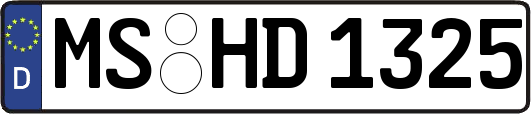 MS-HD1325