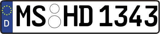 MS-HD1343