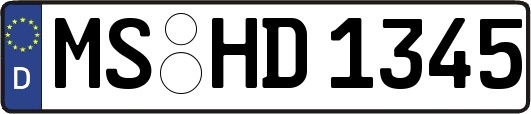 MS-HD1345