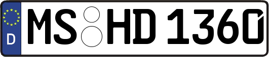 MS-HD1360