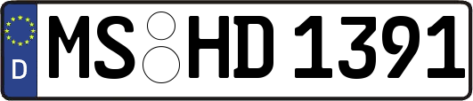 MS-HD1391