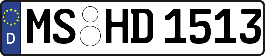 MS-HD1513