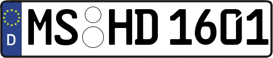 MS-HD1601