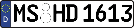 MS-HD1613