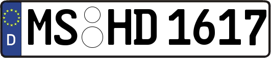 MS-HD1617