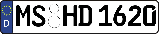 MS-HD1620
