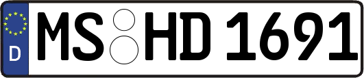 MS-HD1691