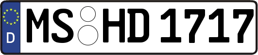 MS-HD1717