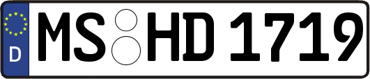 MS-HD1719