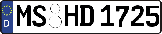 MS-HD1725