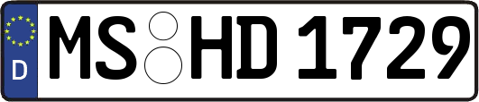 MS-HD1729