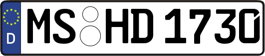 MS-HD1730