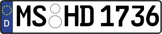 MS-HD1736