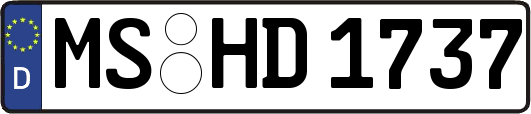 MS-HD1737