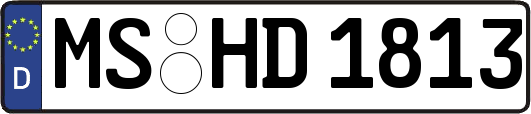 MS-HD1813