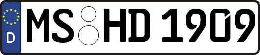 MS-HD1909