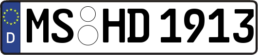 MS-HD1913