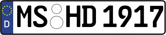 MS-HD1917