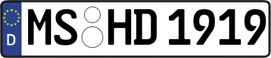 MS-HD1919