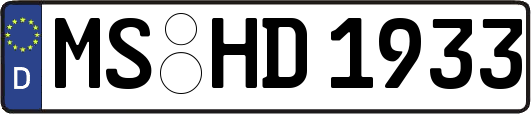 MS-HD1933