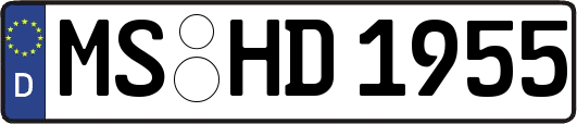 MS-HD1955