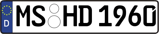 MS-HD1960