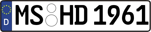 MS-HD1961