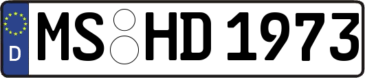 MS-HD1973