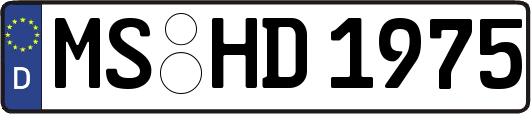 MS-HD1975