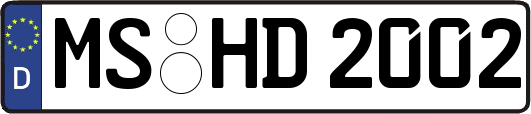 MS-HD2002