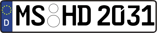 MS-HD2031