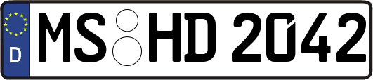 MS-HD2042