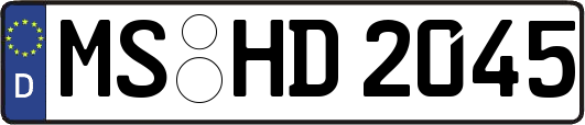 MS-HD2045
