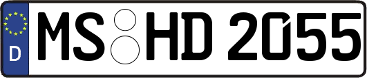 MS-HD2055